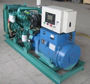 阳明发电机出租